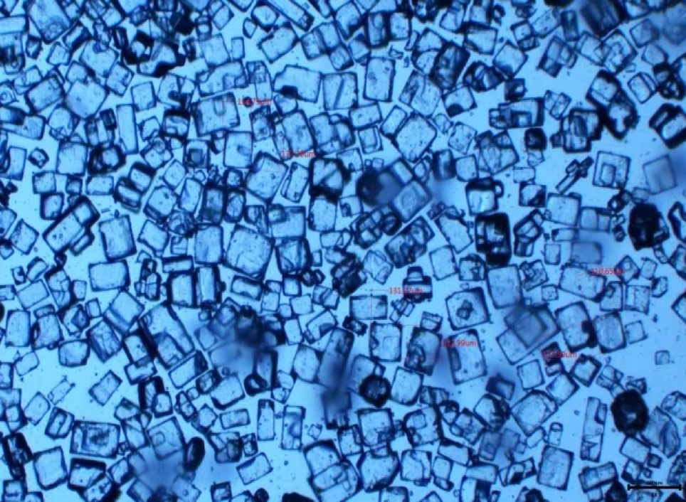 动态结晶六氟磷酸锂